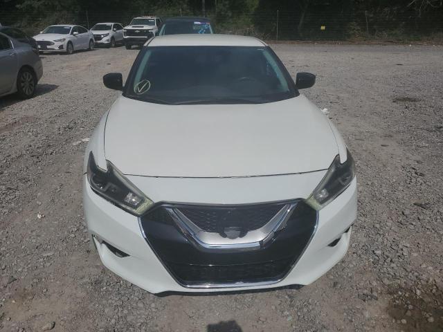 Sedans NISSAN MAXIMA 2017 White