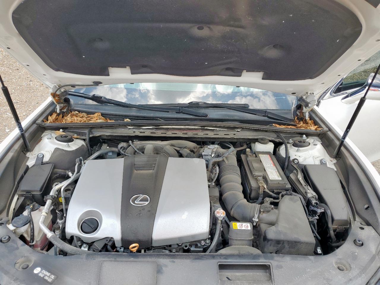 2020 Lexus Es 350 Base VIN: 58ACZ1B1XLU057130 Lot: 62125655