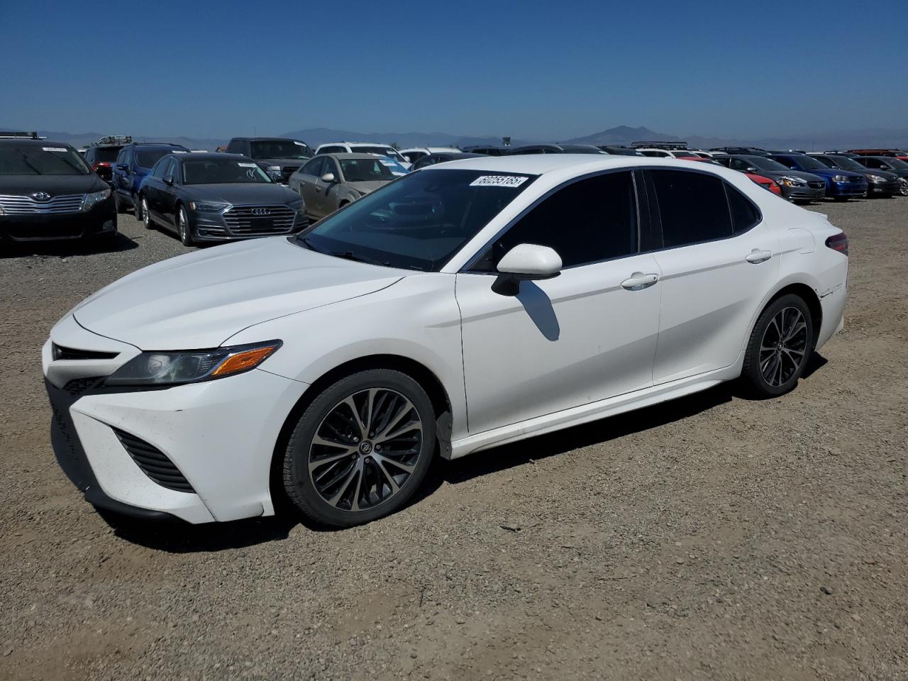 2019 Toyota Camry L na sprzedaż w Helena, MT - Front End