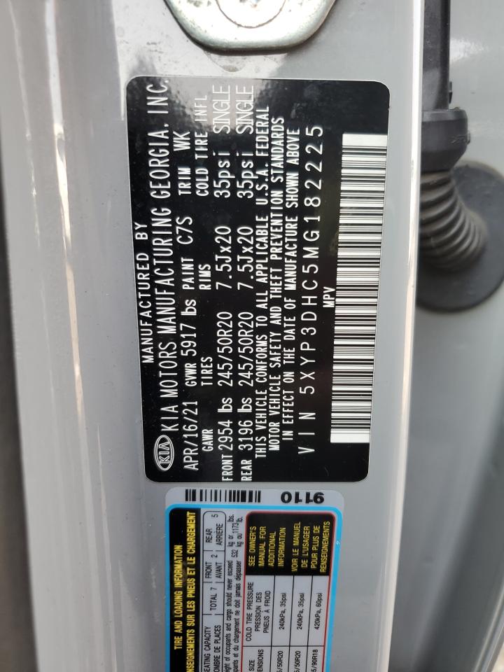 2021 Kia Telluride Ex VIN: 5XYP3DHC5MG182225 Lot: 60740195