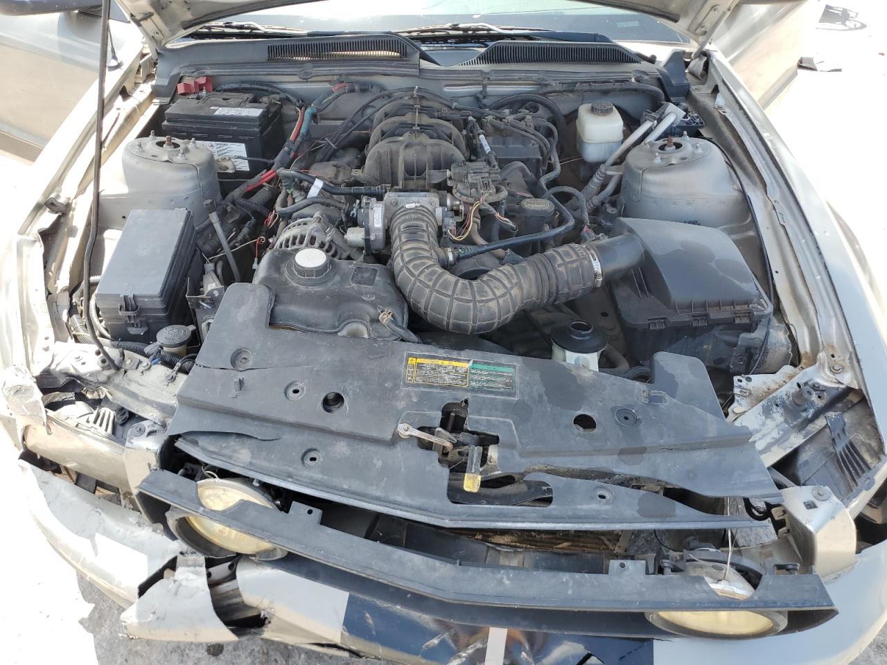 2008 Ford Mustang VIN: 1ZVHT80N985139981 Lot: 62411995