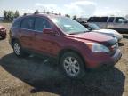 2009 HONDA CR-V EXL à vendre chez Copart AB - CALGARY