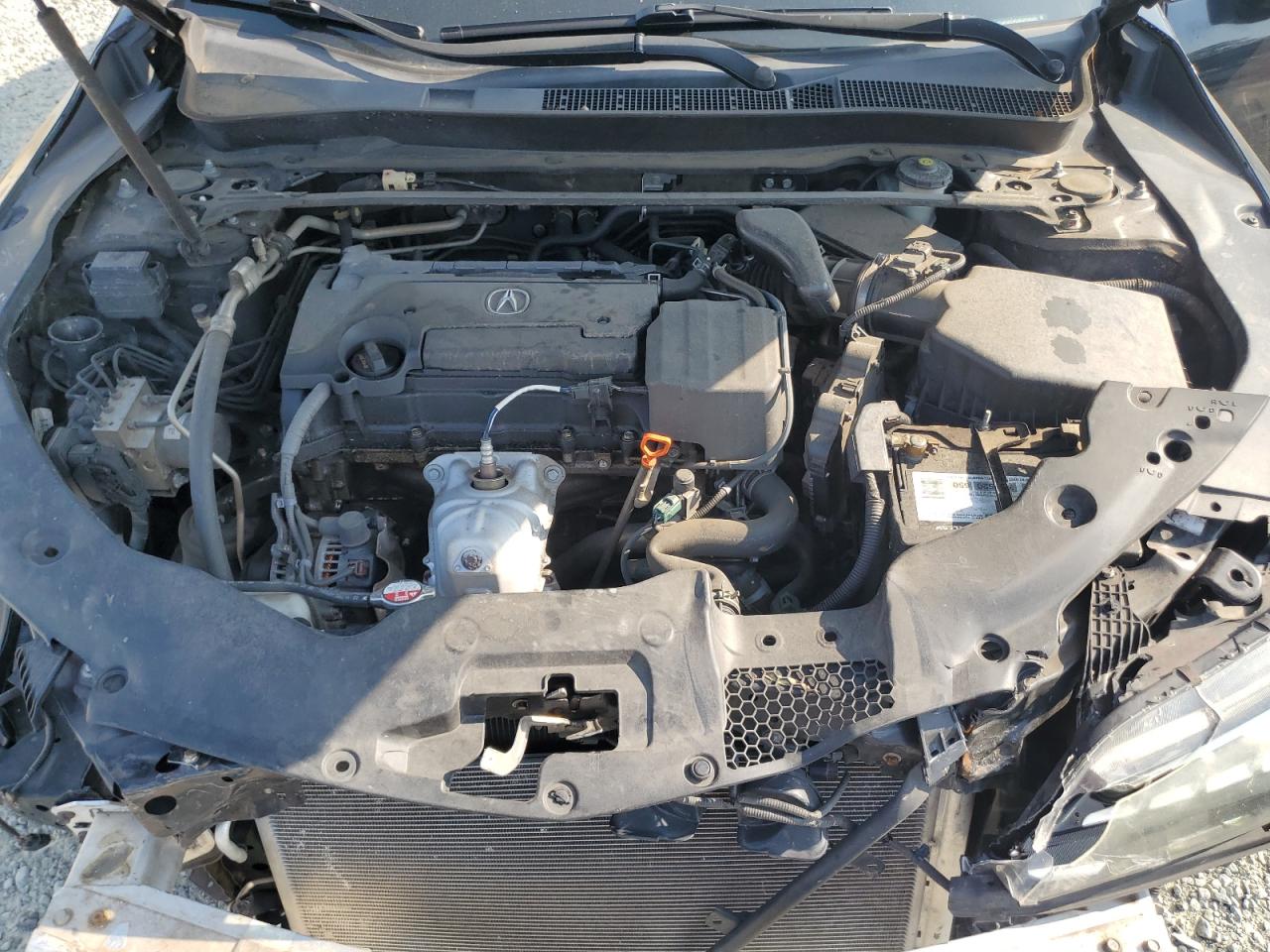 2015 Acura Tlx VIN: 19UUB1F3XFA002037 Lot: 62299405