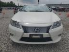 2014 Lexus Es 300H იყიდება Columbus-ში, OH - Rear End