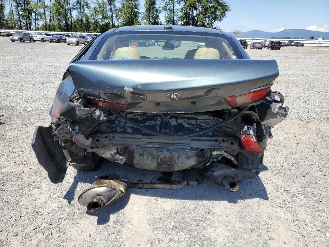 2007 Acura Tsx VIN: JH4CL96917C004600 Lot: 59988985