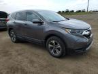 2017 HONDA CR-V LX   à vendre chez Copart AB - CALGARY
