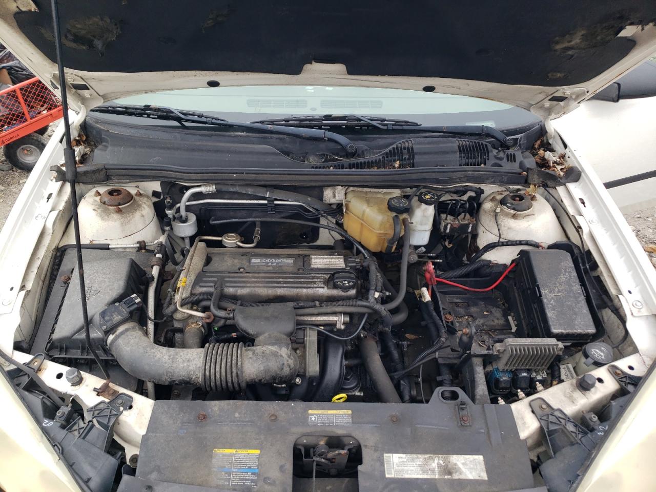 2005 Chevrolet Malibu VIN: 1G1ZS52F25F338464 Lot: 60028975