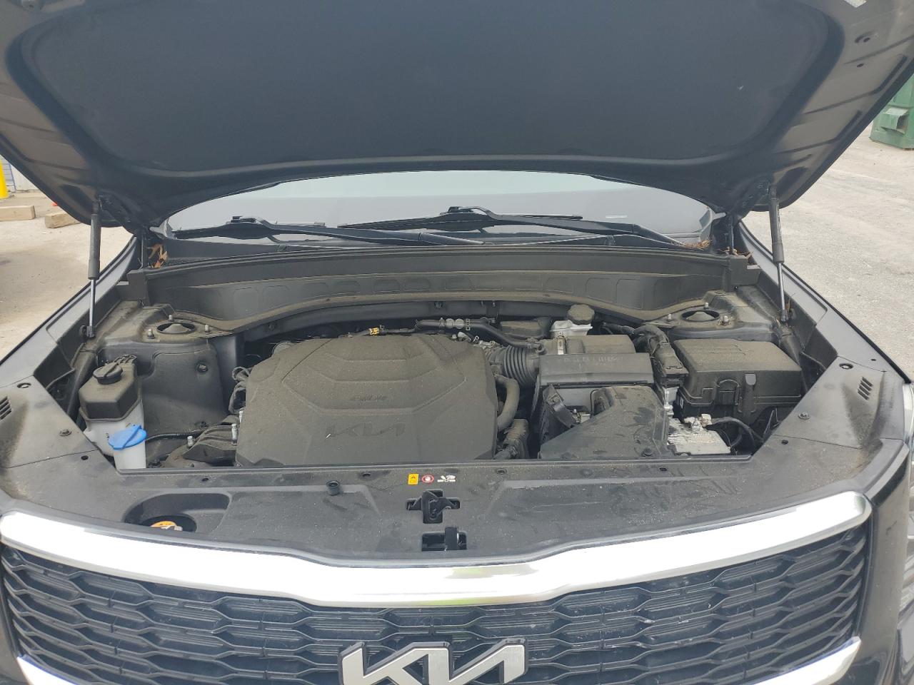 2022 Kia Telluride S VIN: 5XYP6DHC4NG219984 Lot: 60916715