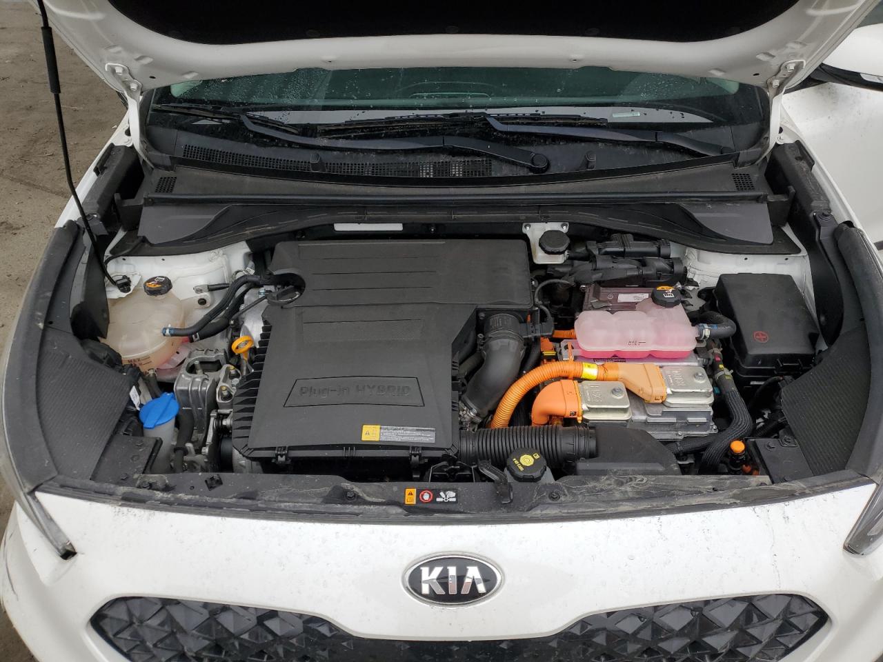 2021 Kia Niro Ex Premium VIN: KNDCC3LDXM5484174 Lot: 59352235