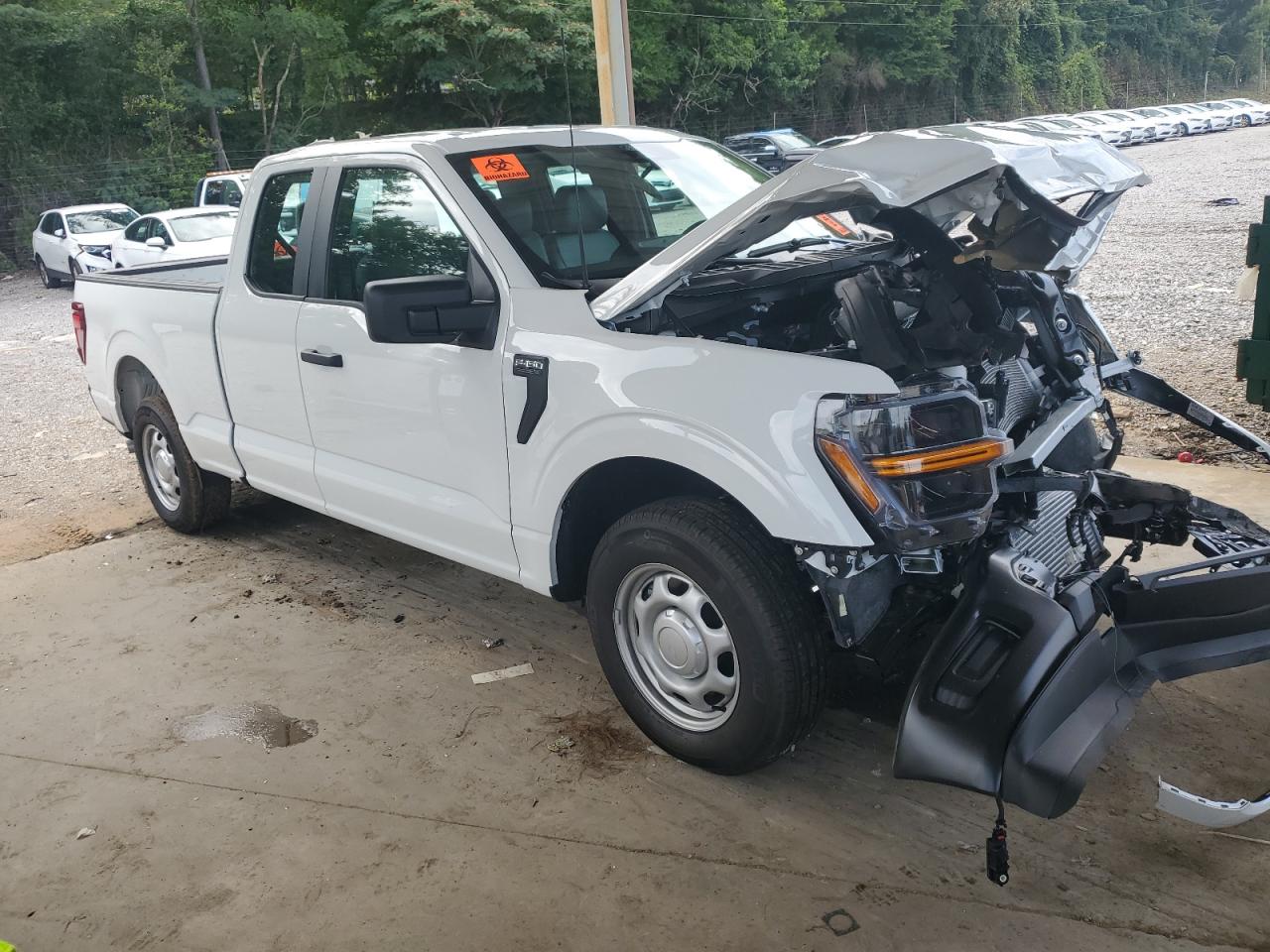 FORD F150 2025 VIN 1FTEX1KP7SKE07726 zdjęcie 4