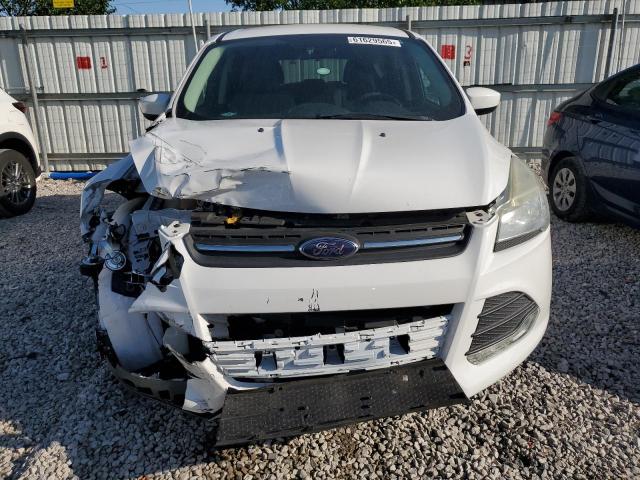 Паркетники FORD ESCAPE 2016 Белы