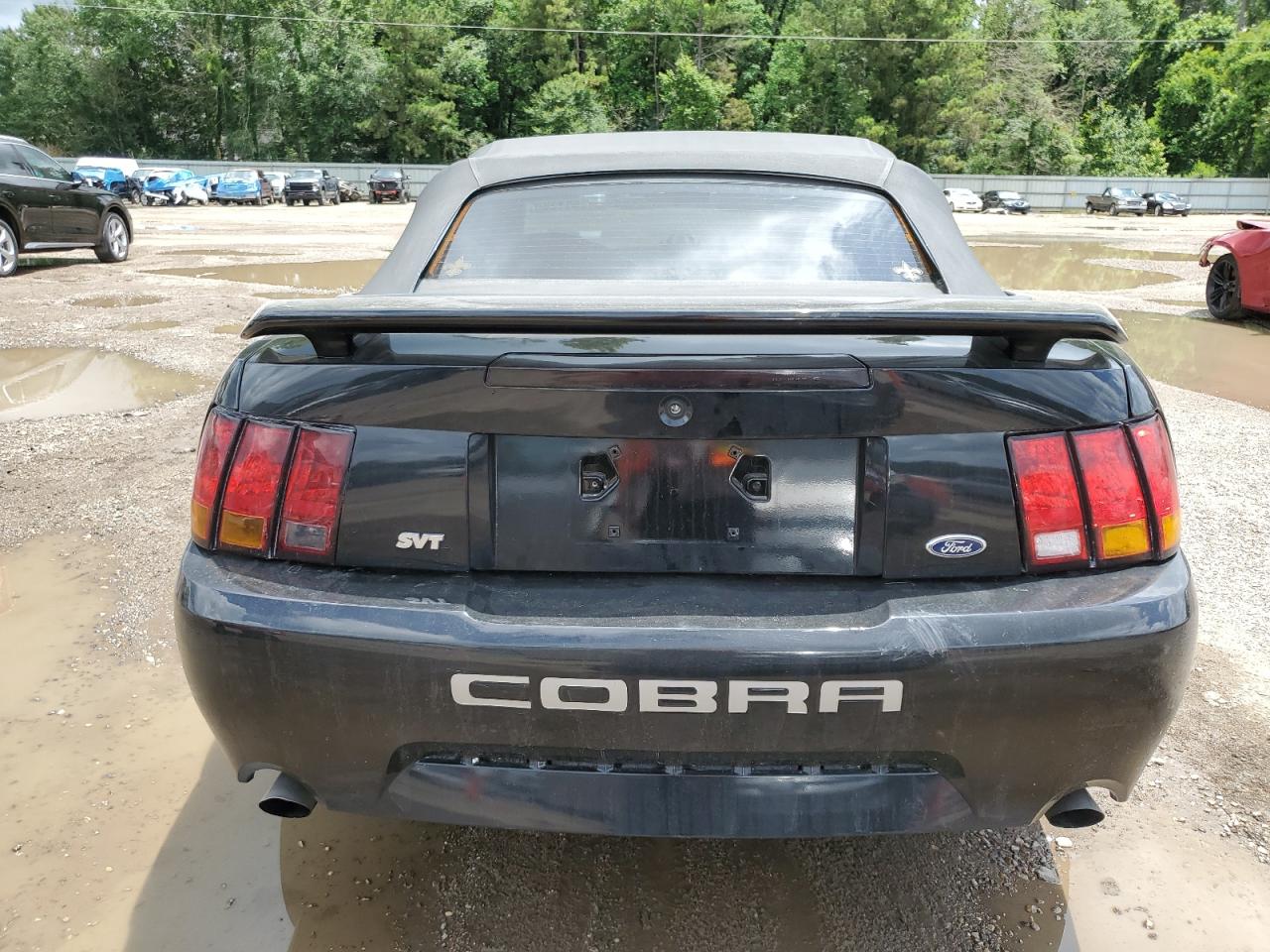 2001 Ford Mustang Cobra Svt VIN: 1FAFP46V71F203665 Lot: 61136075