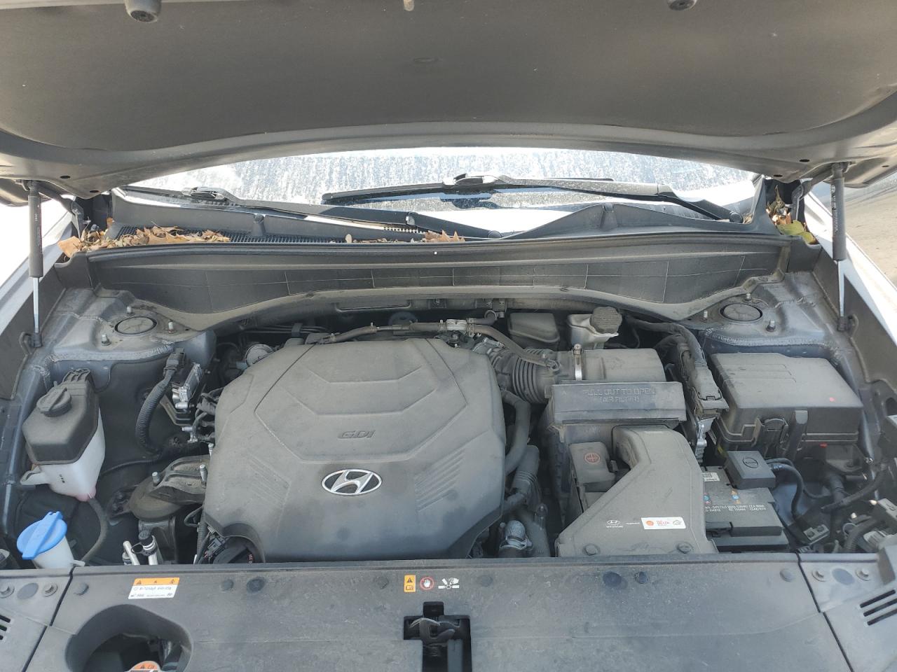 2021 Hyundai Palisade Sel VIN: KM8R34HE7MU229727 Lot: 62276745