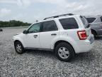 2010 Ford Escape Xlt   for Sale in Apopka, FL - Front End