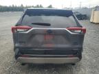 2023 TOYOTA RAV4 XSE   à vendre chez Copart NS - HALIFAX