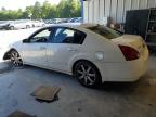 Mebane, NC에서 판매 중인 2006 Nissan Maxima Se   - Front End