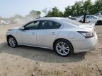 2014 Nissan Maxima S zu verkaufen in Baltimore, MD - Front End