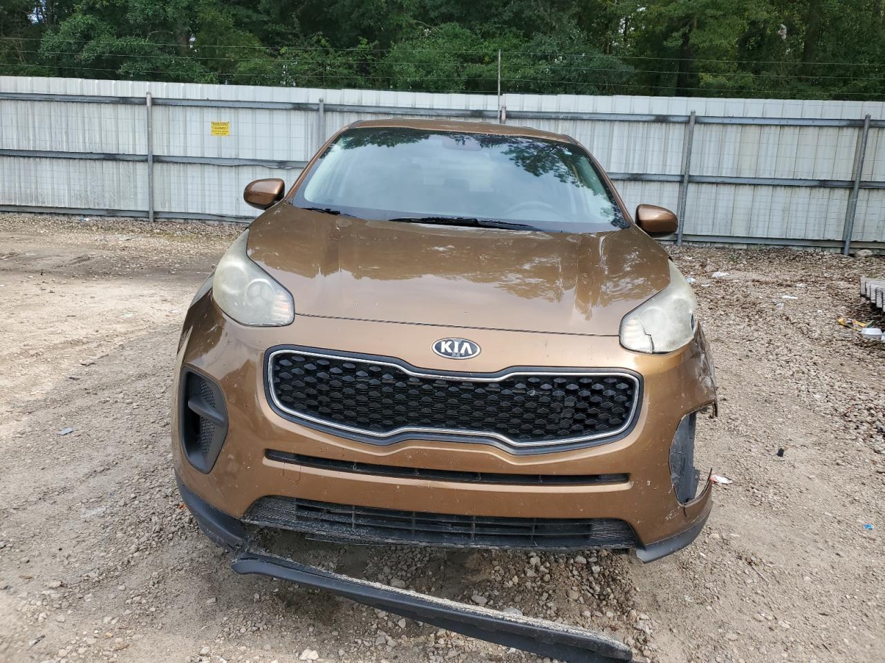 KIA SPORTAGE 2019 VIN KNDPM3AC2K7533071 фото 5