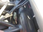 2013 Ducati Monster 696 за продажба в North Las Vegas, NV - Mechanical