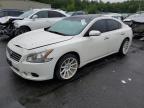2010 Nissan Maxima S de vânzare în Exeter, RI - Front End