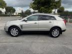 2013 CADILLAC SRX LUXURY COLLECTION   à vendre chez Copart FL - MIAMI NORTH