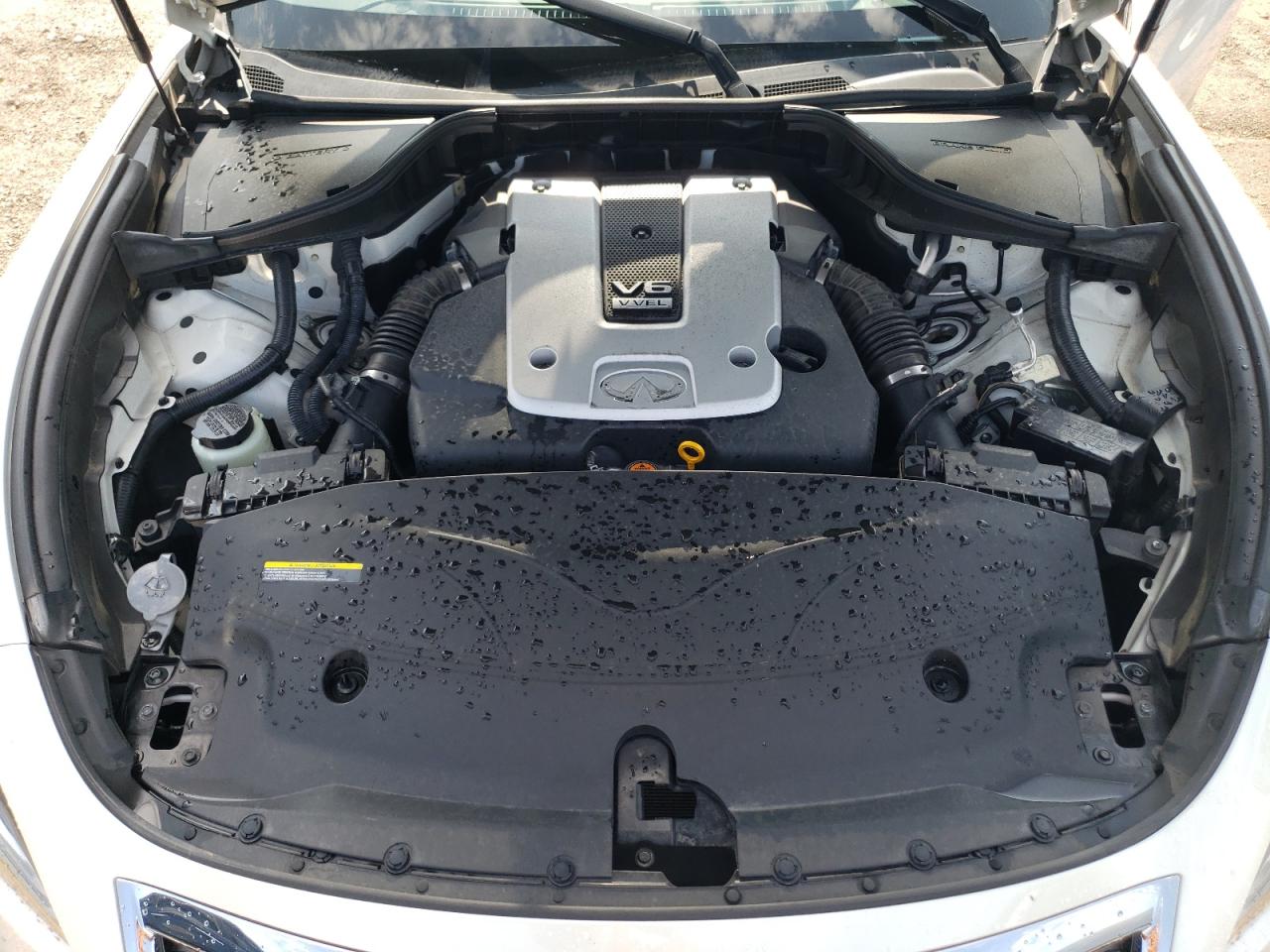2019 Infiniti Q70 3.7 Luxe VIN: JN1BY1AP7KM505096 Lot: 61669215