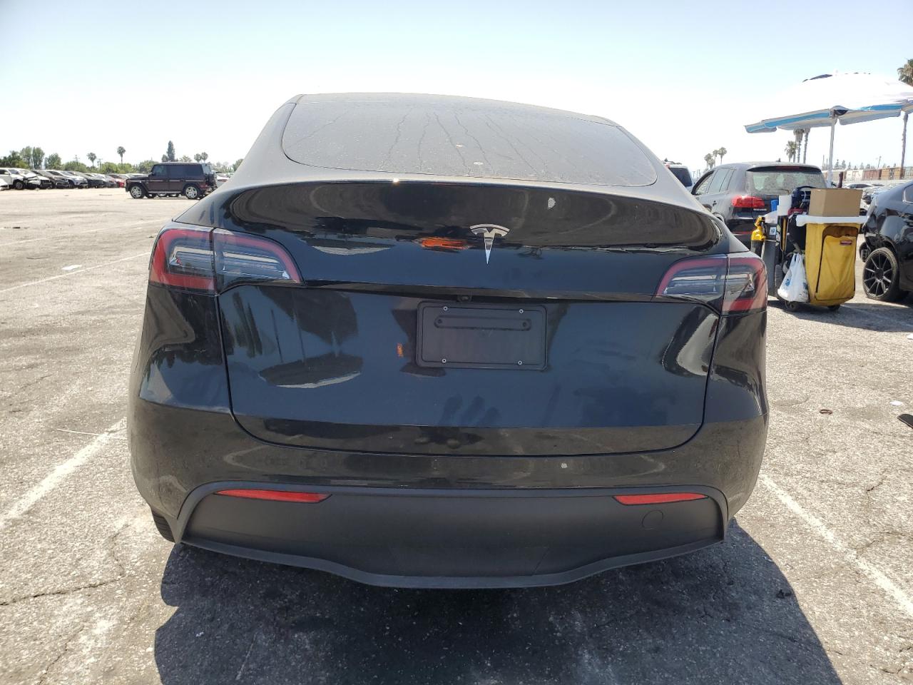 2025 Tesla Model Y VIN: 7SAYGDED3SF278416 Lot: 61863155