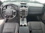 2010 Ford Escape Xlt for Sale in Lawrenceburg, KY - Front End