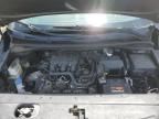 2016 KIA SEDONA L   à vendre chez Copart FL - TAMPA SOUTH