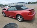 2002 FORD MUSTANG    for sale at Copart ON - COOKSTOWN