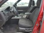 2010 Ford Escape Xlt for Sale in Eugene, OR - Front End