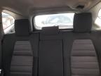 2020 Honda Cr-V Ex zu verkaufen in Earlington, KY - Hail