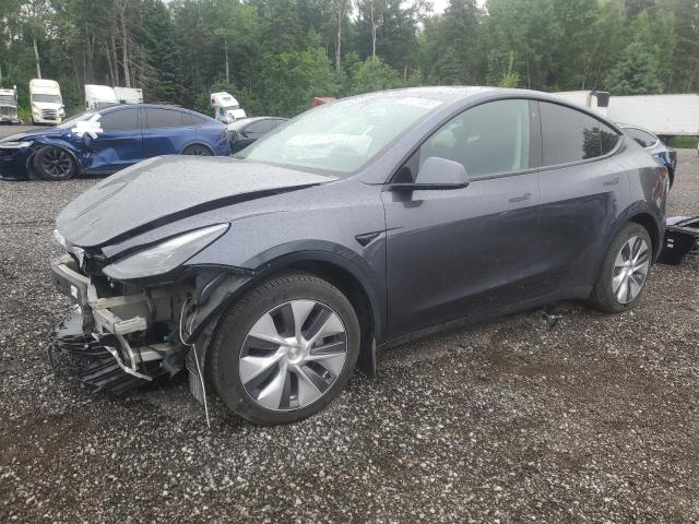 2023 TESLA MODEL Y    for sale at Copart ON - COOKSTOWN