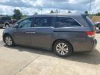 2014 HONDA ODYSSEY EXL   à vendre chez Copart SC - COLUMBIA