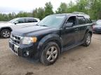 2010 FORD ESCAPE LIMITED   à vendre chez Copart ON - COOKSTOWN
