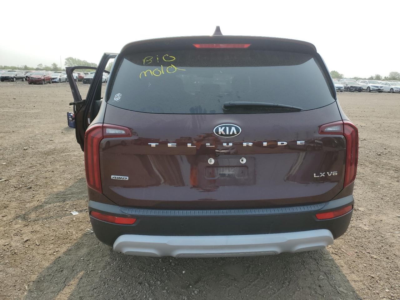 2021 Kia Telluride Lx VIN: 5XYP2DHC7MG177322 Lot: 58729185