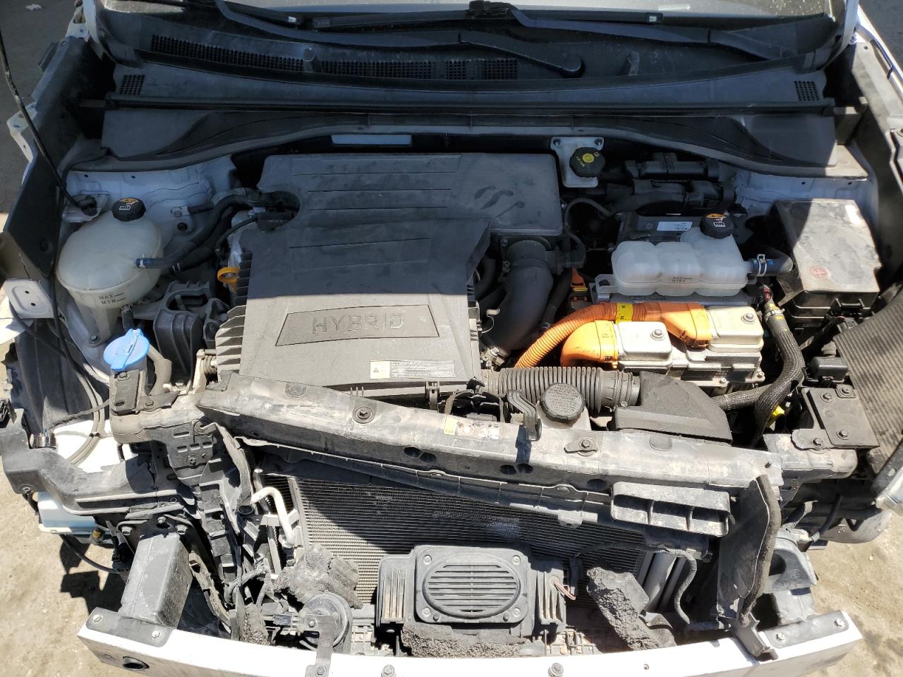 2019 Kia Niro Fe VIN: KNDCB3LC5K5321889 Lot: 56512455