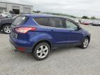 2014 Ford Escape Se for Sale in Earlington, KY - Top/Roof