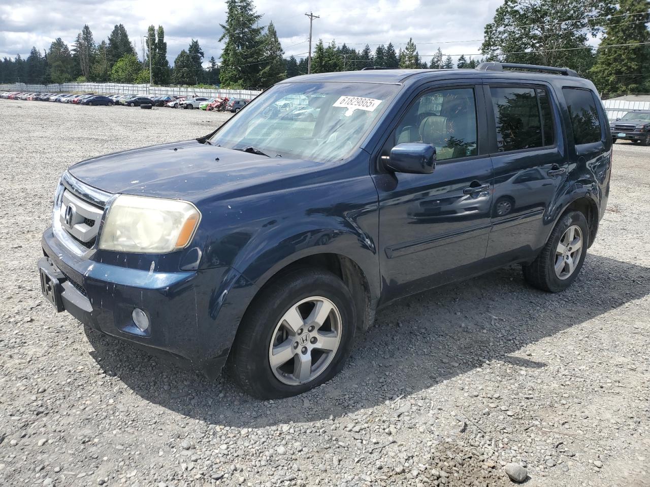 5FNYF3H55BB006996 HONDA PILOT Photo 1