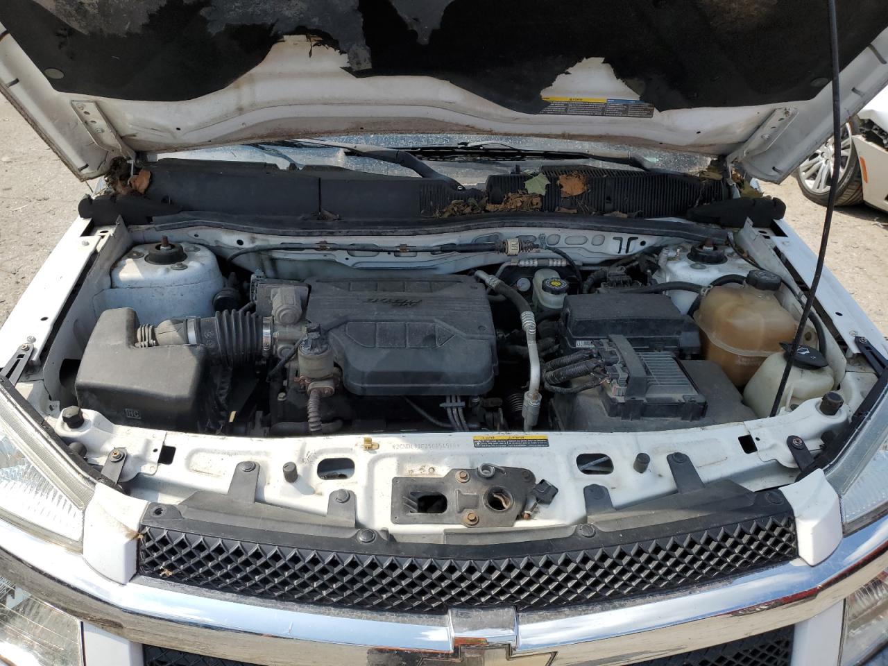 2005 Chevrolet Equinox Ls VIN: 2CNDL13F256054988 Lot: 62294595