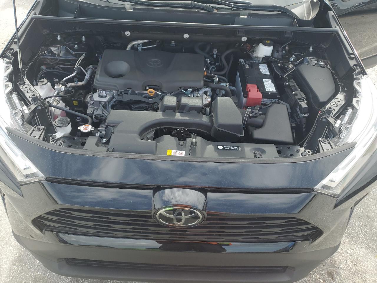 2024 Toyota Rav4 Xle VIN: 2T3W1RFV8RW353495 Lot: 63038545