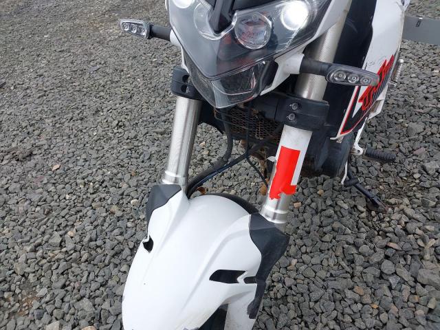 2025 BENELLI TORNADO NA