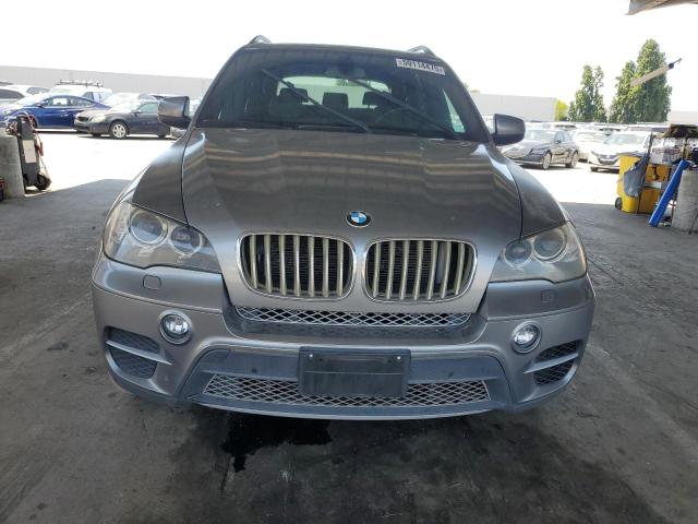 Parquets BMW X5 2012 Gray
