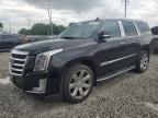 2016 Cadillac Escalade Luxury zu verkaufen in Columbus, OH - Minor Dent/Scratches