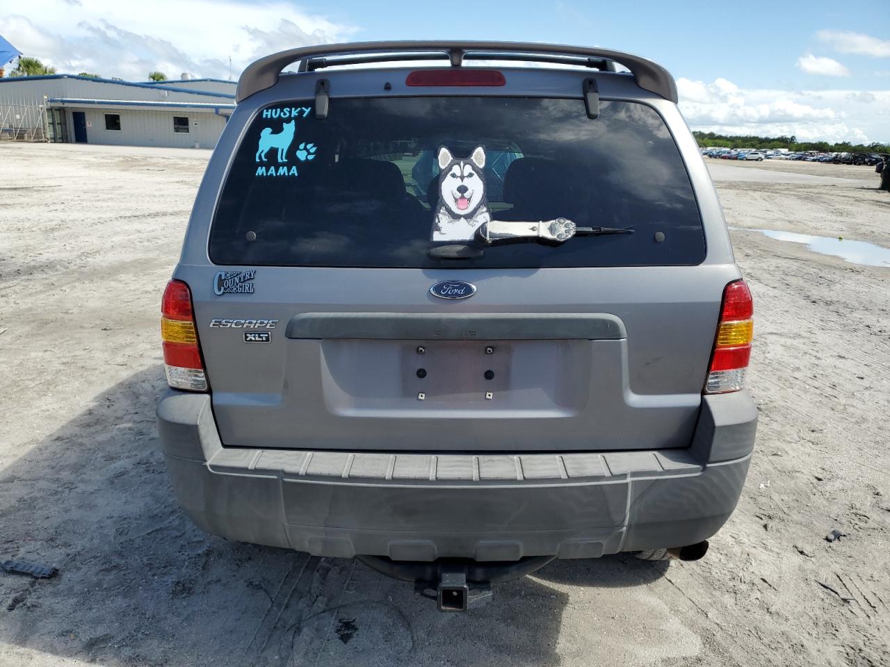 2007 Ford Escape Xlt VIN: 1FMCU03Z07KB36991 Lot: 62746225