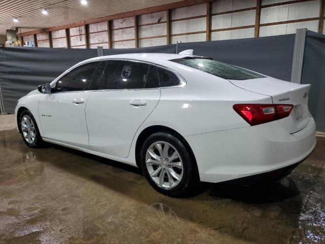  CHEVROLET MALIBU 2023 White