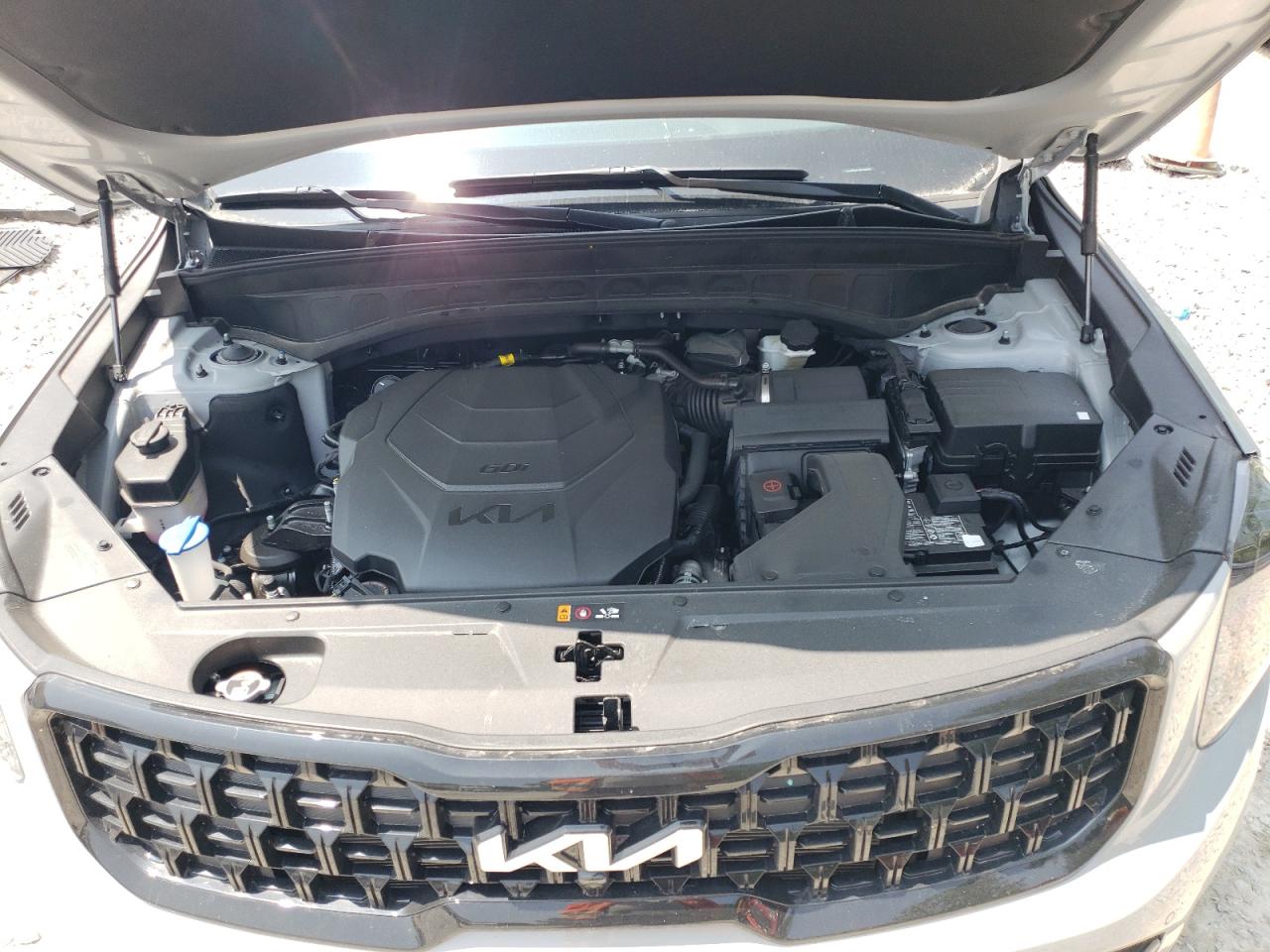2024 Kia Telluride Sx VIN: 5XYP5DGC2RG534955 Lot: 59326615
