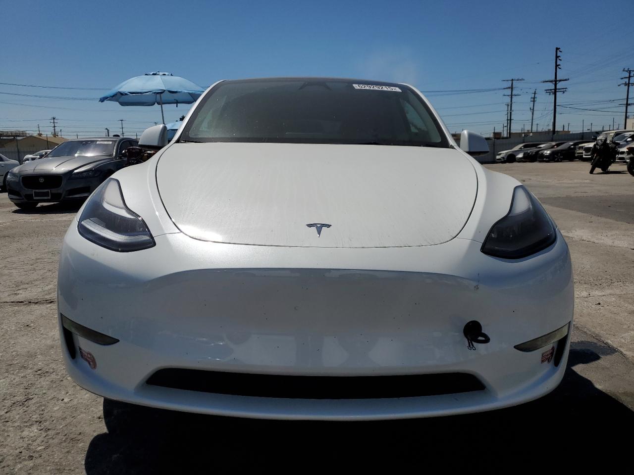 2024 Tesla Model Y VIN: 7SAYGAEE7RF101627 Lot: 62929215