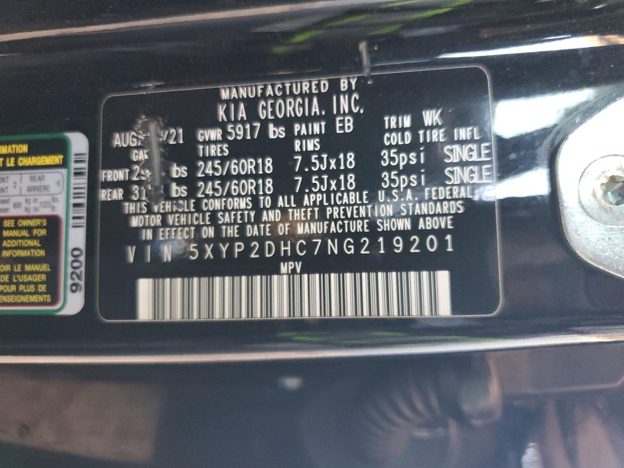 2022 Kia Telluride Lx VIN: 5XYP2DHC7NG219201 Lot: 62772145