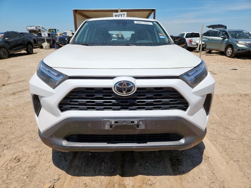  TOYOTA RAV4 2023 Белы